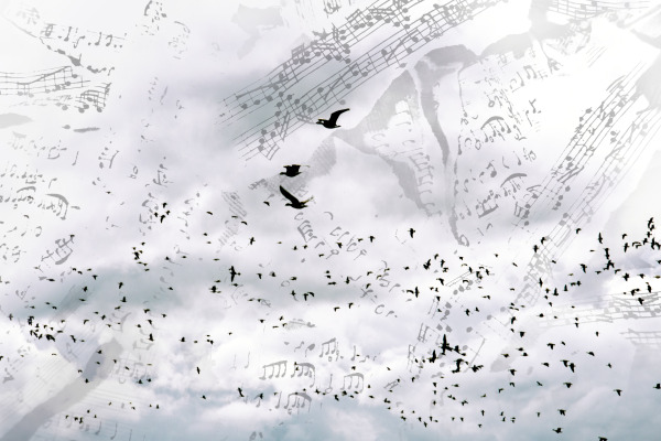 poster-bird-original-resized-600x400