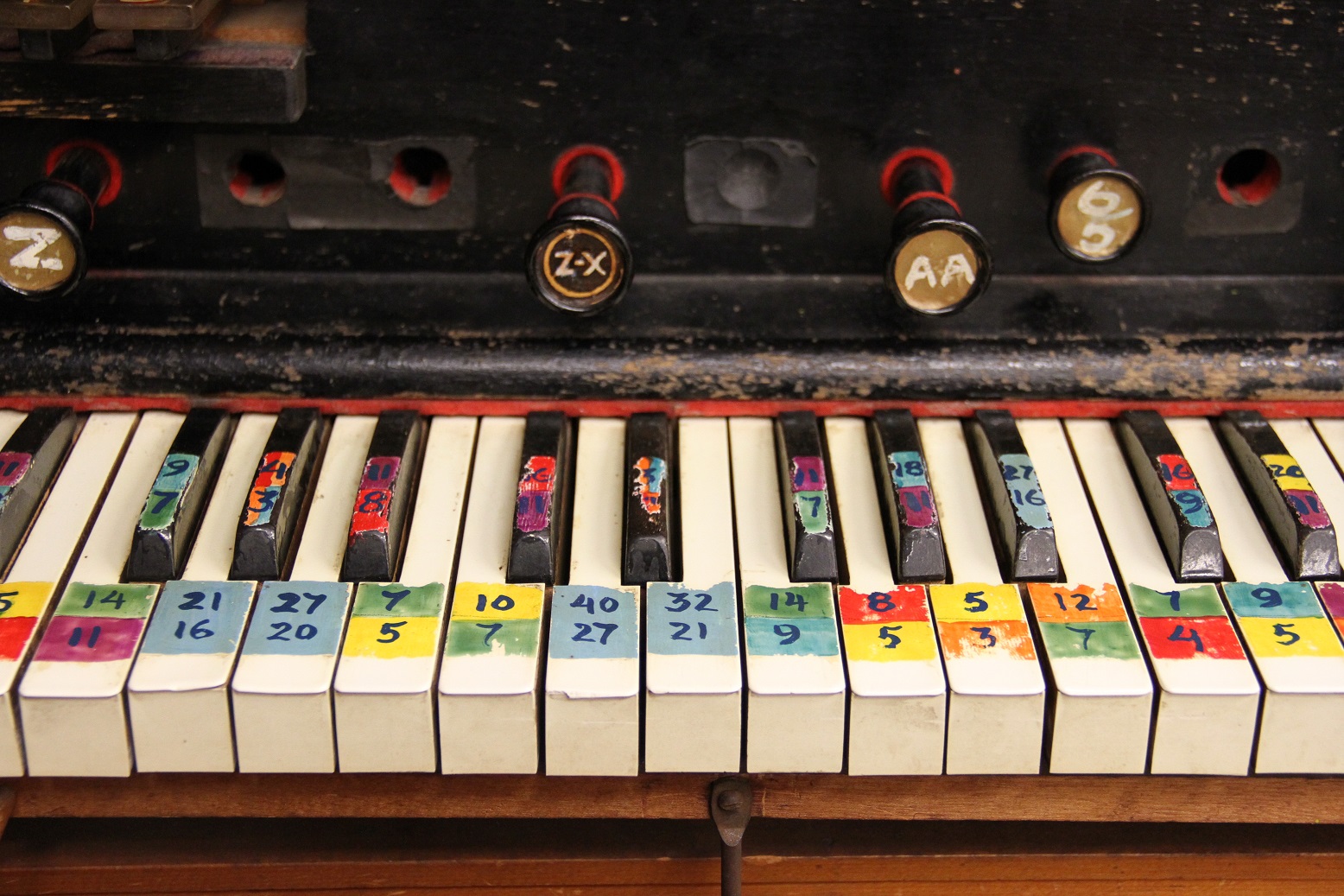 Chromelodeon - Photo by Maggie Molloy