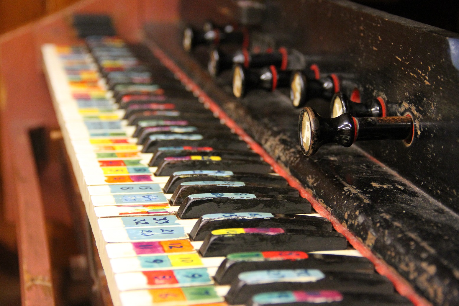 Chromelodeon - Photo by Maggie Molloy